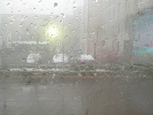 IMG20130419006.jpg