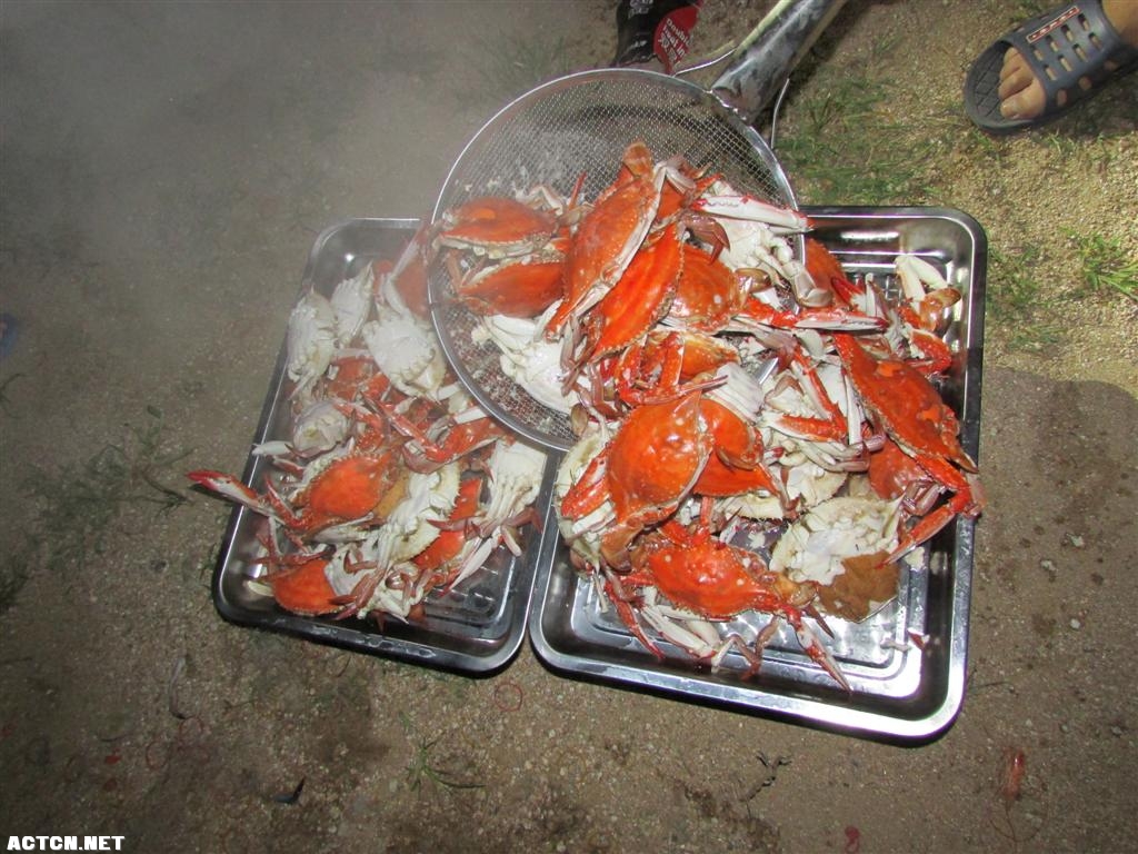 18.jpg
