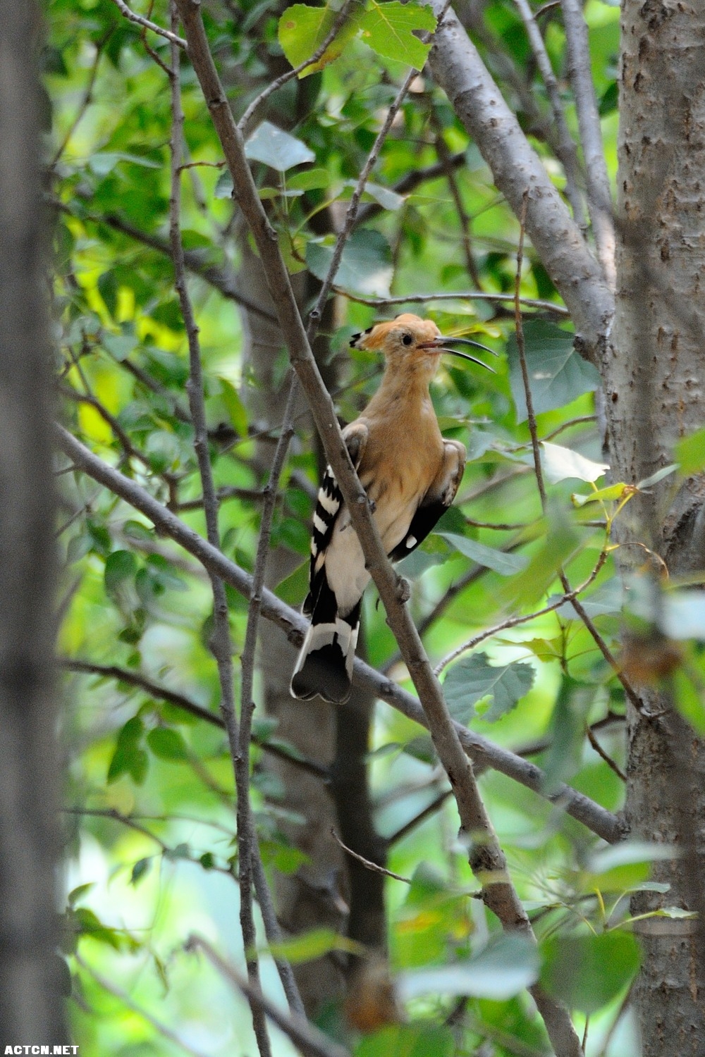 DSC_1642.jpg
