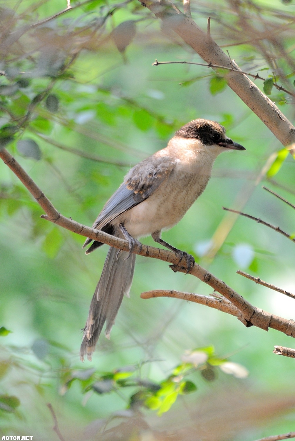 DSC_1729.jpg
