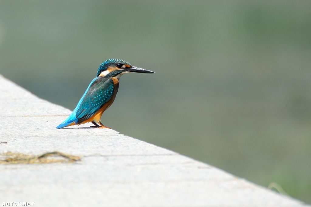 DSC_2891_1024.jpg
