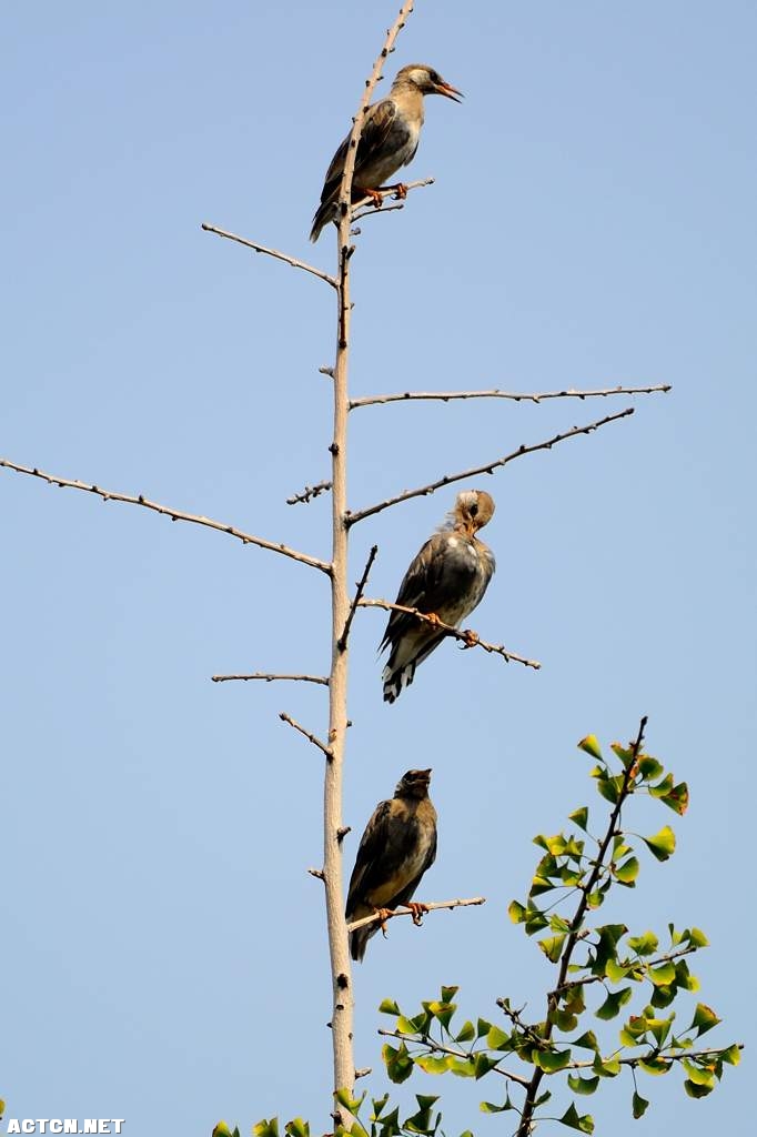 DSC_3425_002.jpg