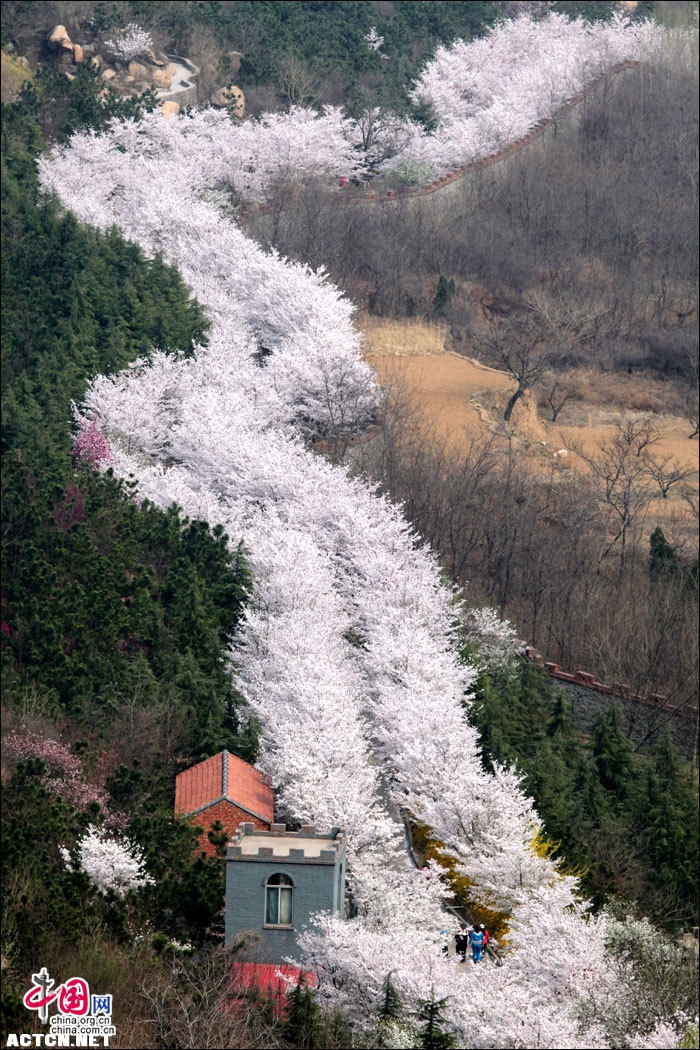 ӣɽ1.jpg