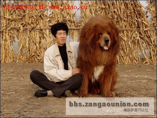xinsrc_33208042717268122966713.jpg