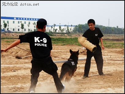 Ƭ 0922.jpg