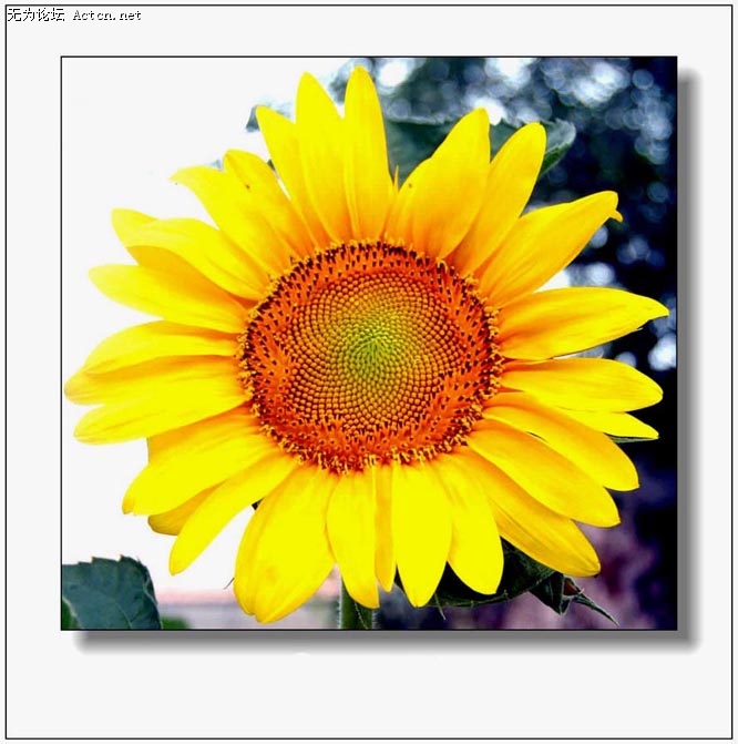 Ƭ 0211.jpg