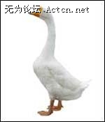 .jpg