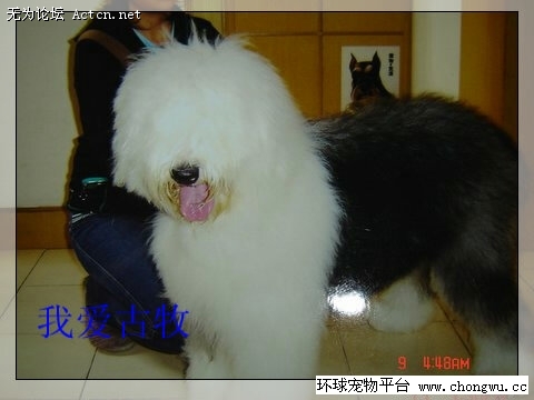 20070616_571c4cb3d70aa3a9ceeelM7gH7AG4BDB.jpg