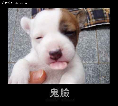 ʱǺܵƤ