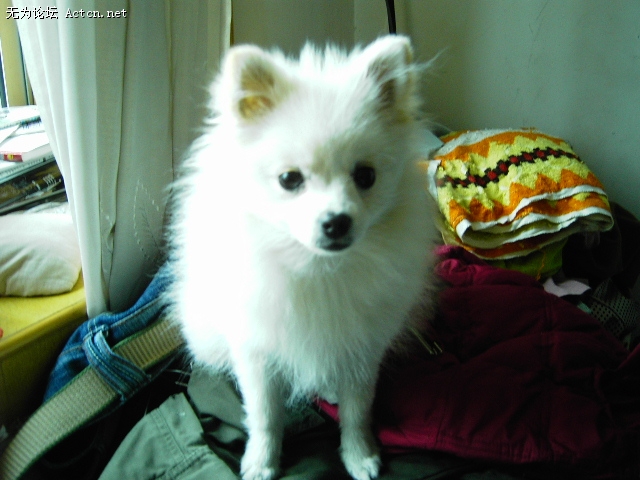Ƭ 023.jpg