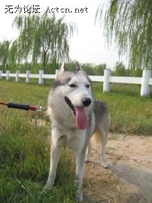 IMG_0125xiao.jpg