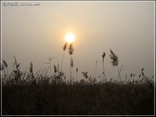 IMG_8073.jpg