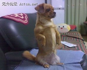 Ǳʲô