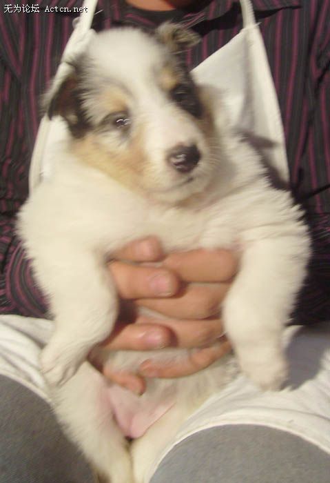 PICT0007.JPG
