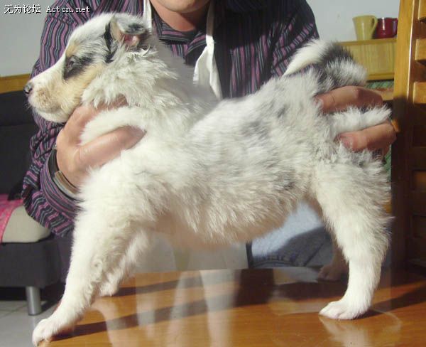 PICT0009.JPG