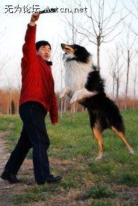 20071206_4f3d16ee954bcb807f2cumLQxkJlbTNU_jpg_thumb.jpg