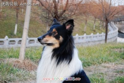 20071206_98dccf91c8bb813cf2d994BjD63V8yVD_jpg_thumb.jpg