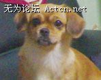 20071209204.jpg