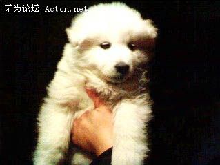 20071230_03d0899d4f8c94a72400Ztrk1oNANj2m.jpg