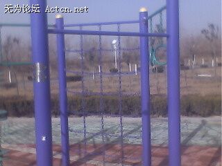 IMG0243A.jpg
