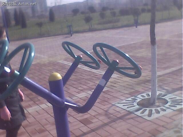 IMG0249A.jpg
