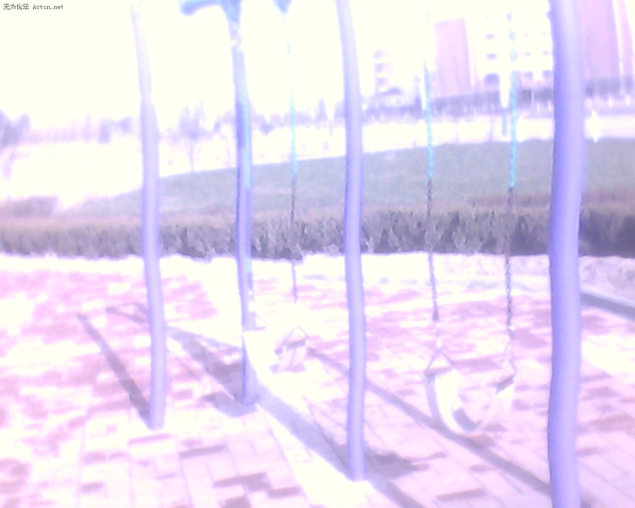 IMG0237A.jpg