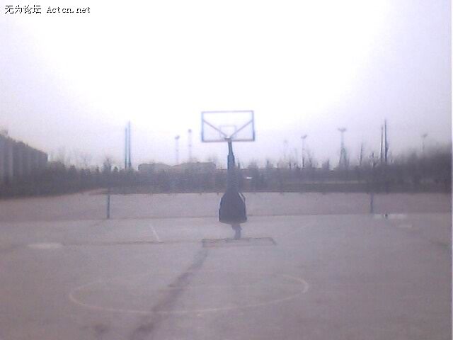 IMG0251A.jpg