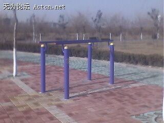 IMG0242A.jpg