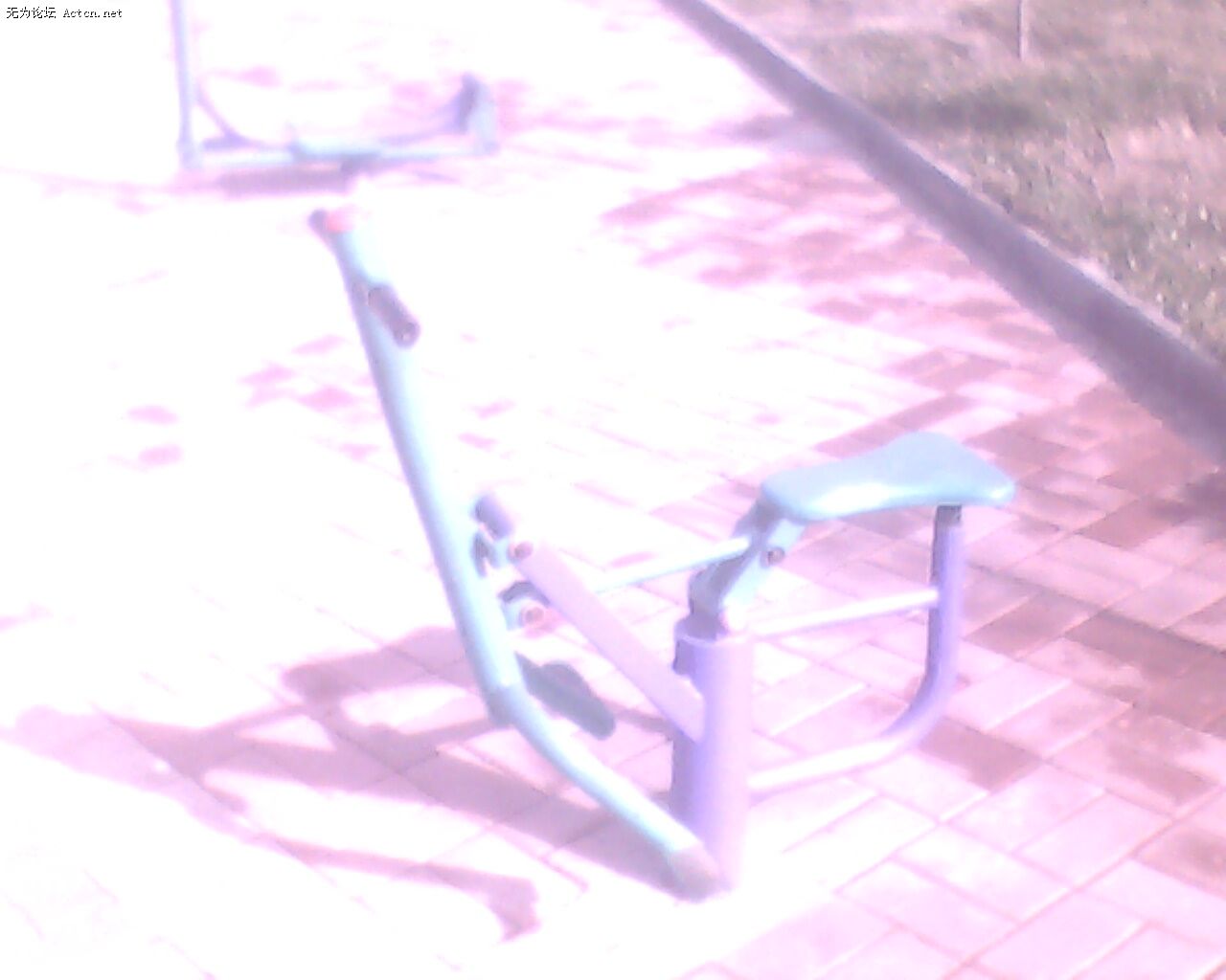IMG0229A.jpg