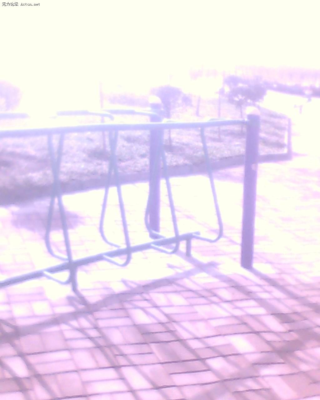 IMG0233A.jpg
