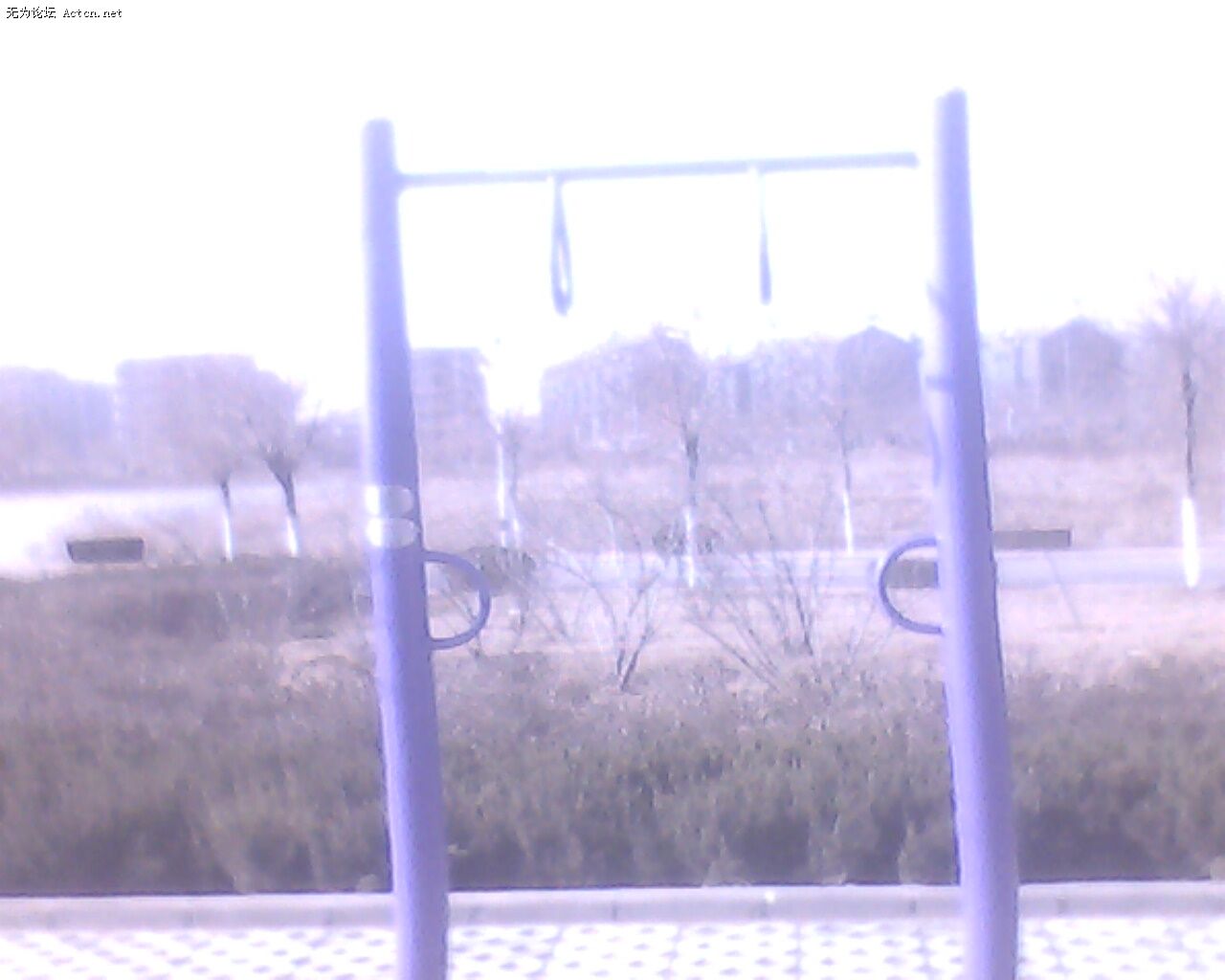 IMG0228A.jpg