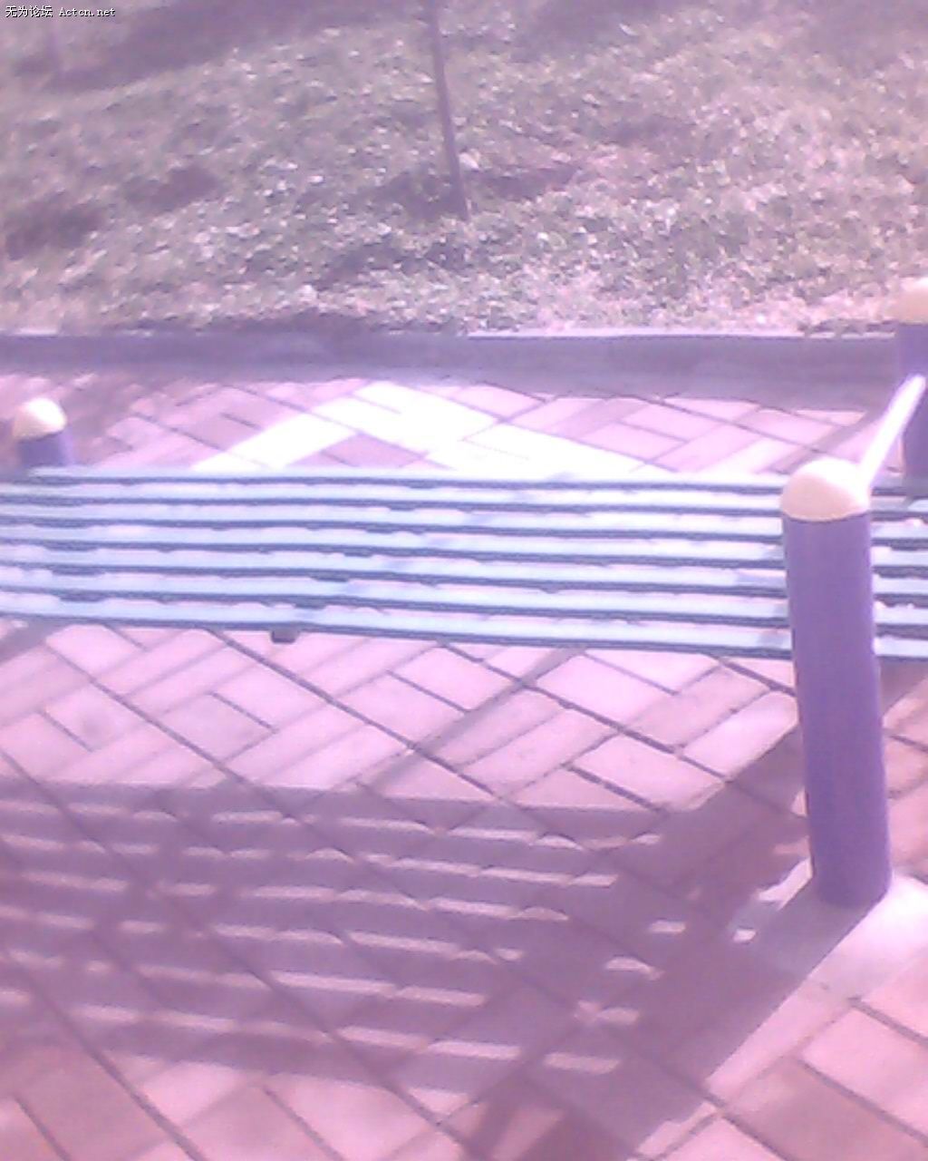 IMG0234A.jpg