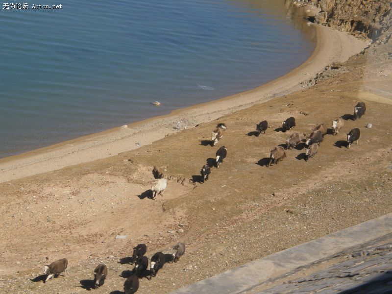 PA120378.JPG