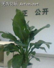 IMG0237A.jpg