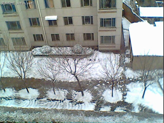 IMG0186A.jpg