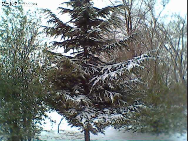 IMG0212A.jpg