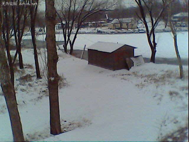 IMG0224A.jpg