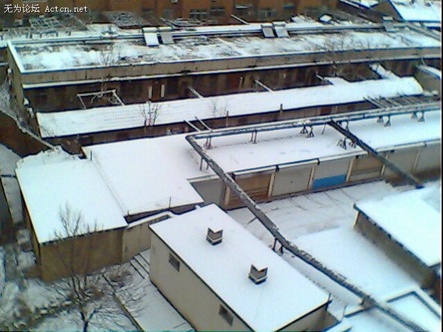 IMG0185A.jpg
