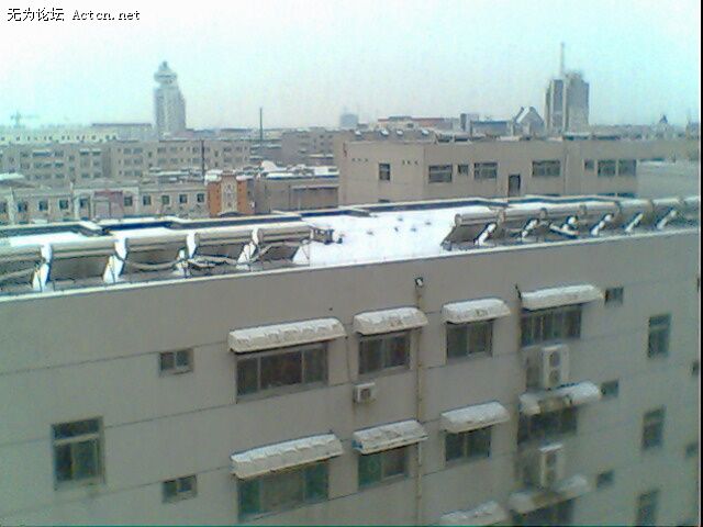 IMG0181A.jpg