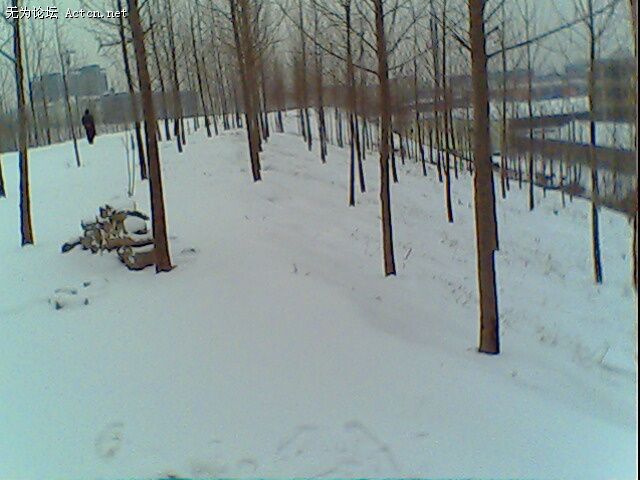 IMG0195A.jpg