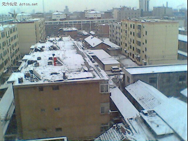 IMG0183A.jpg