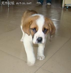 DSC00655.JPG