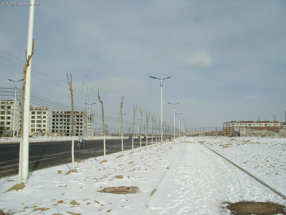 SNV11699.JPG