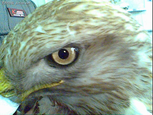 IMG0277A.jpg