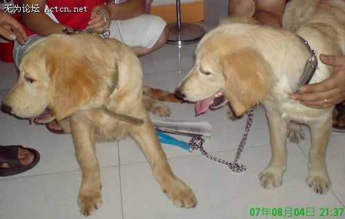 ëë00121.JPG