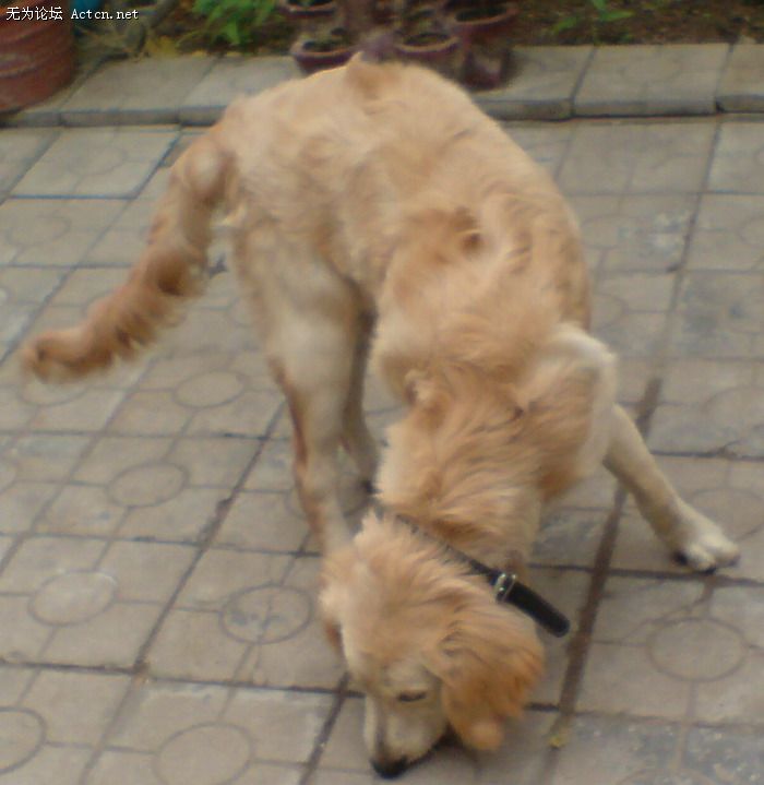 DSC00160.JPG