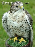 200710271801390[1].jpg