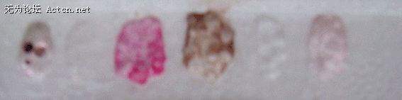 DSC00212.gif