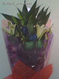 IMG0019A.jpg