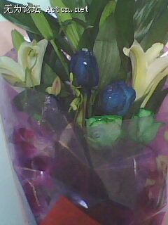 IMG0018A.jpg